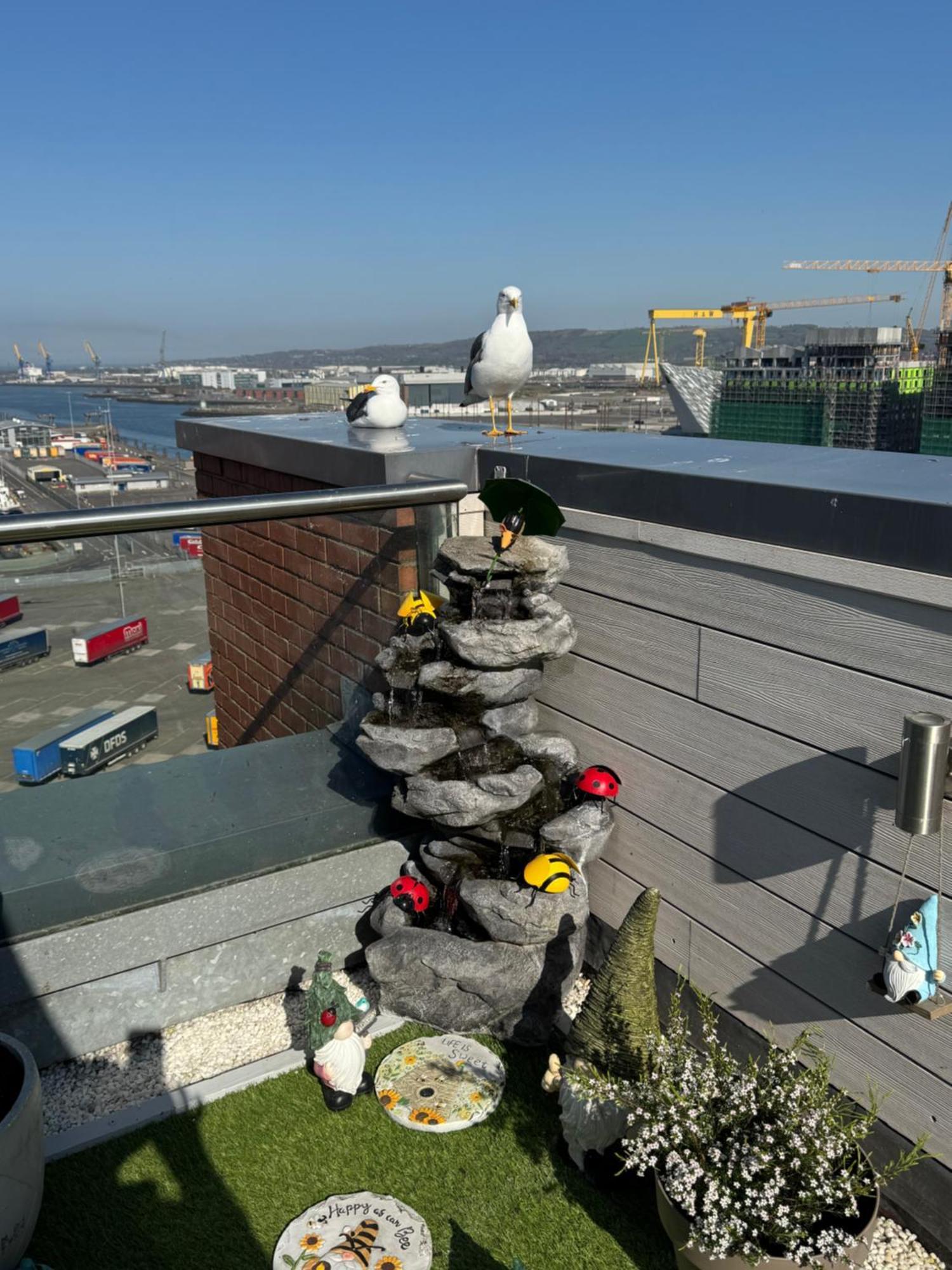 James Clow Bed & Breakfast Belfast Bagian luar foto